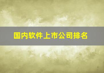 国内软件上市公司排名