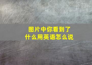 图片中你看到了什么用英语怎么说