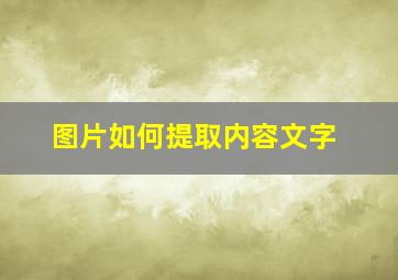 图片如何提取内容文字