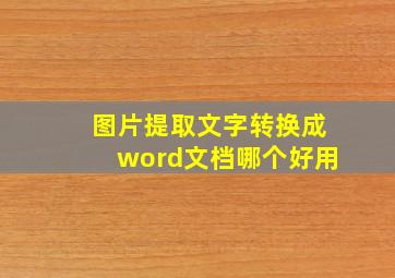 图片提取文字转换成word文档哪个好用