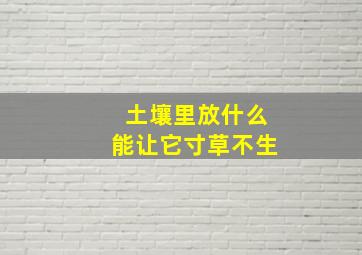 土壤里放什么能让它寸草不生