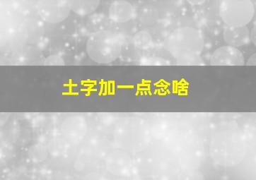 土字加一点念啥