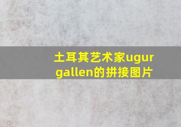 土耳其艺术家ugurgallen的拼接图片