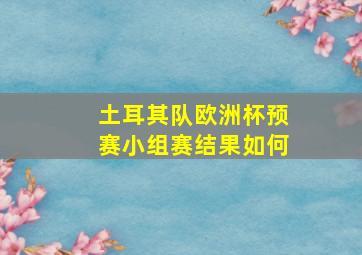 土耳其队欧洲杯预赛小组赛结果如何