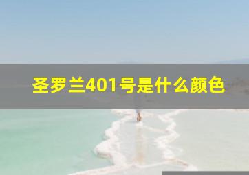 圣罗兰401号是什么颜色