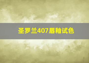 圣罗兰407唇釉试色