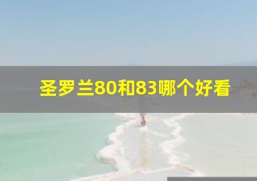 圣罗兰80和83哪个好看