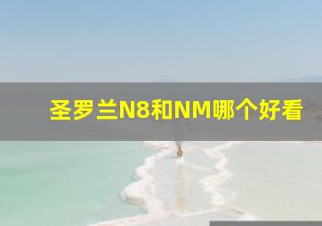 圣罗兰N8和NM哪个好看