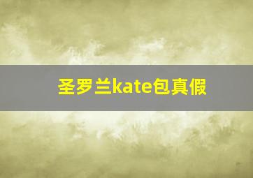 圣罗兰kate包真假