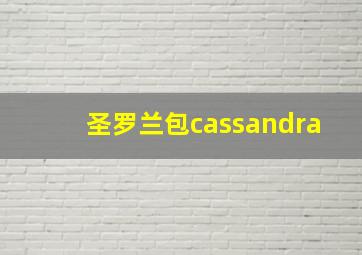 圣罗兰包cassandra