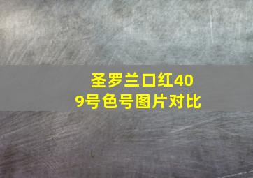 圣罗兰口红409号色号图片对比