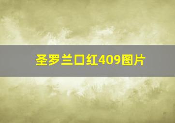 圣罗兰口红409图片