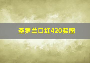 圣罗兰口红420实图