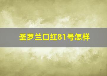 圣罗兰口红81号怎样