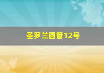 圣罗兰圆管12号