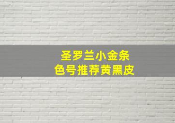 圣罗兰小金条色号推荐黄黑皮