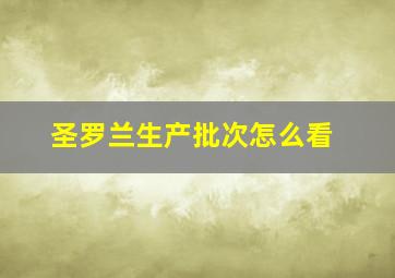 圣罗兰生产批次怎么看