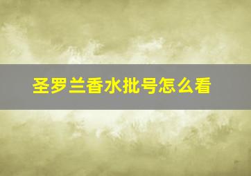 圣罗兰香水批号怎么看