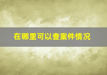 在哪里可以查案件情况