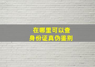 在哪里可以查身份证真伪鉴别