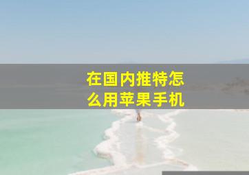 在国内推特怎么用苹果手机