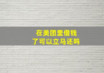 在美团里借钱了可以立马还吗