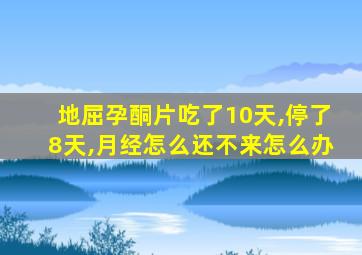 地屈孕酮片吃了10天,停了8天,月经怎么还不来怎么办