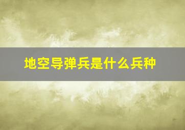 地空导弹兵是什么兵种