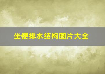 坐便排水结构图片大全