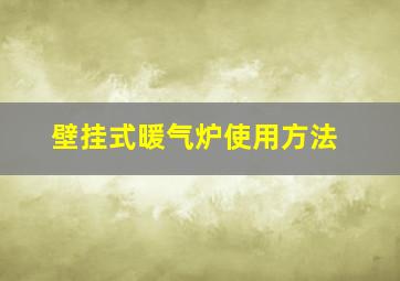 壁挂式暖气炉使用方法