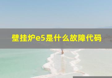 壁挂炉e5是什么故障代码