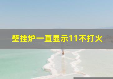 壁挂炉一直显示11不打火