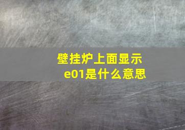 壁挂炉上面显示e01是什么意思