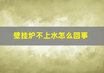 壁挂炉不上水怎么回事