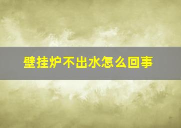 壁挂炉不出水怎么回事