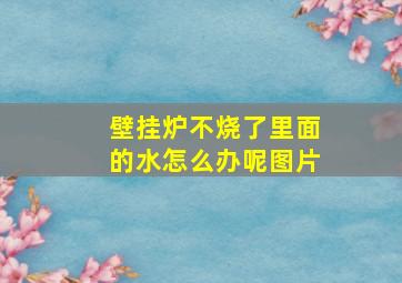 壁挂炉不烧了里面的水怎么办呢图片