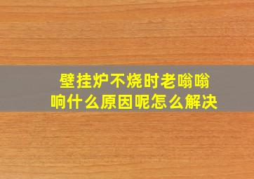 壁挂炉不烧时老嗡嗡响什么原因呢怎么解决