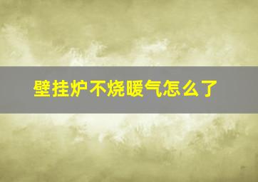 壁挂炉不烧暖气怎么了