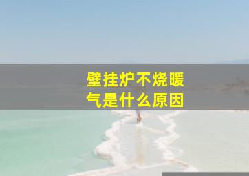 壁挂炉不烧暖气是什么原因