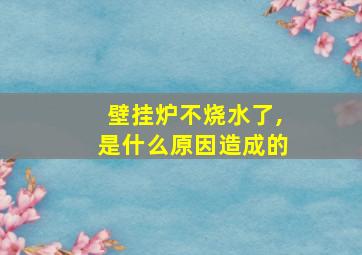 壁挂炉不烧水了,是什么原因造成的