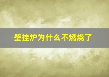 壁挂炉为什么不燃烧了