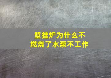 壁挂炉为什么不燃烧了水泵不工作