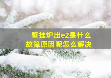 壁挂炉出e2是什么故障原因呢怎么解决