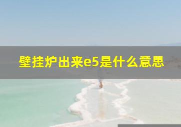 壁挂炉出来e5是什么意思