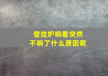 壁挂炉响着突然不响了什么原因呢