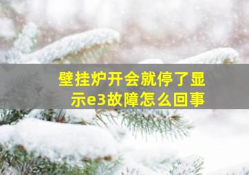 壁挂炉开会就停了显示e3故障怎么回事