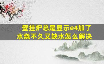 壁挂炉总是显示e4加了水烧不久又缺水怎么解决