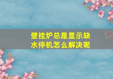 壁挂炉总是显示缺水停机怎么解决呢