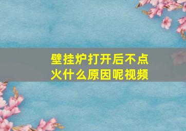 壁挂炉打开后不点火什么原因呢视频