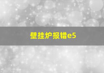 壁挂炉报错e5